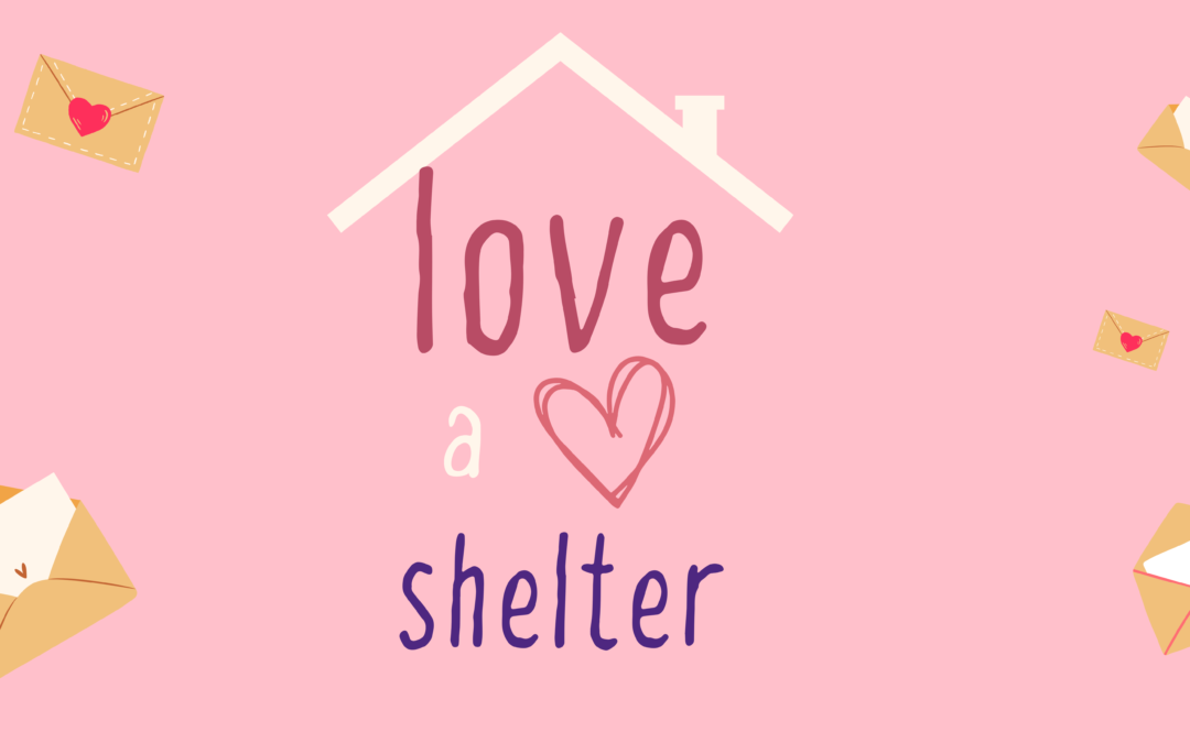 Love A Shelter Campaign